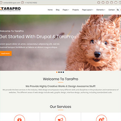 Tarapro Drupal Theme