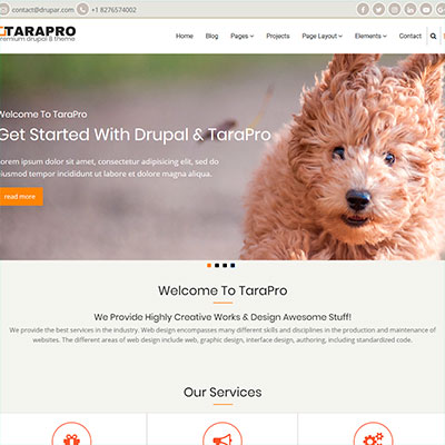 tarapro drupal theme
